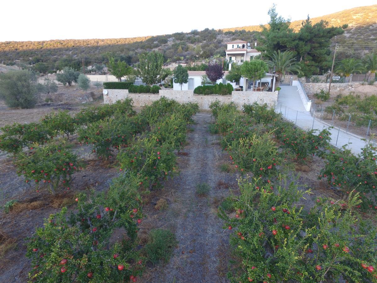 Traditional Guest House Grandma Vitsa In Ερμιόνη Εξωτερικό φωτογραφία